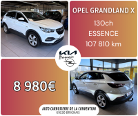 FB grandland 8980  10_25