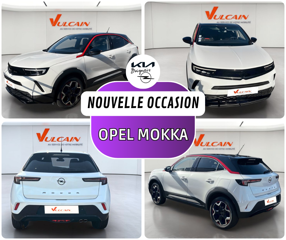FB MOKKA blanc gs-line 93327km recto 09_26